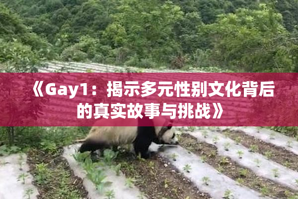 《Gay1：揭示多元性别文化背后的真实故事与挑战》