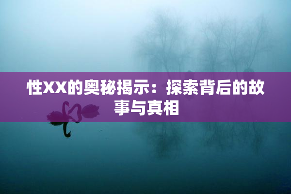 性XX的奥秘揭示：探索背后的故事与真相
