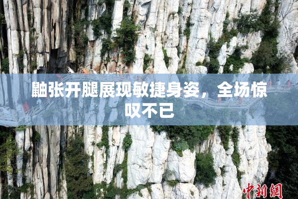 鼬张开腿展现敏捷身姿，全场惊叹不已
