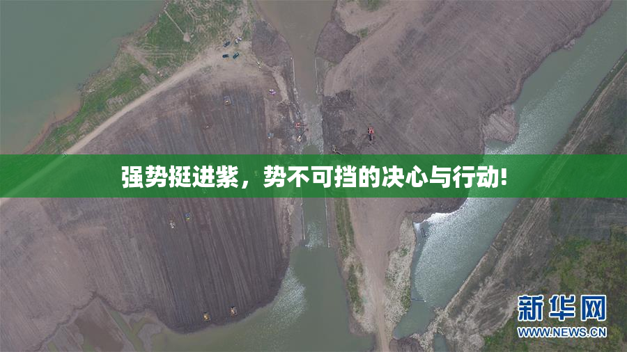 强势挺进紫，势不可挡的决心与行动!