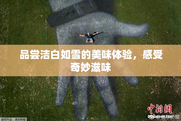 品尝洁白如雪的美味体验，感受奇妙滋味