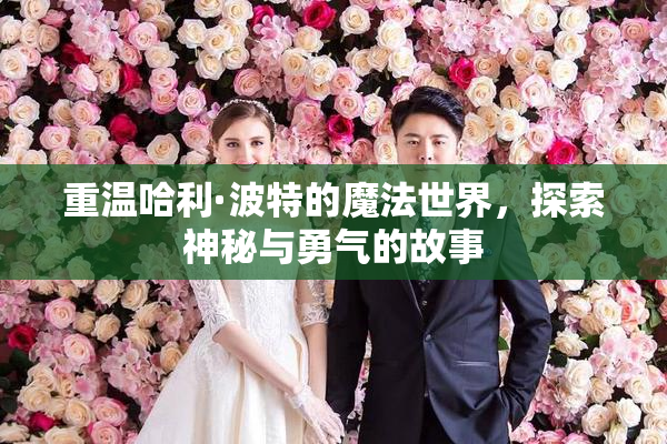 重温哈利·波特的魔法世界，探索神秘与勇气的故事