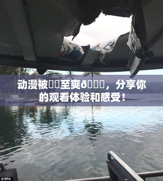 动漫被❌‌至爽🔞，分享你的观看体验和感受！