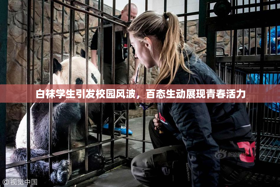 白袜学生引发校园风波，百态生动展现青春活力