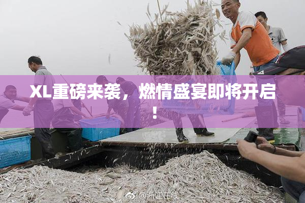 XL重磅来袭，燃情盛宴即将开启！