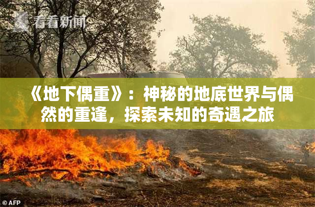 《地下偶重》：神秘的地底世界与偶然的重逢，探索未知的奇遇之旅