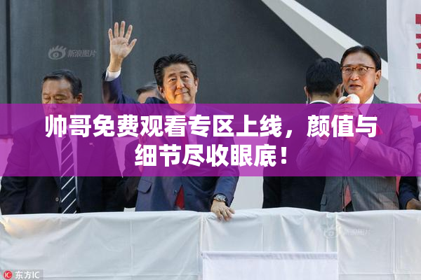 帅哥免费观看专区上线，颜值与细节尽收眼底！