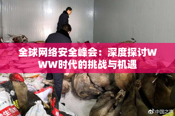 全球网络安全峰会：深度探讨WWW时代的挑战与机遇