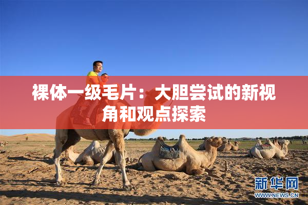 裸体一级毛片：大胆尝试的新视角和观点探索