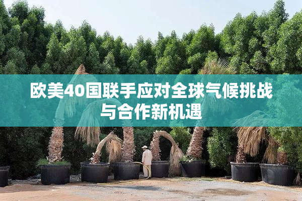 欧美40国联手应对全球气候挑战与合作新机遇