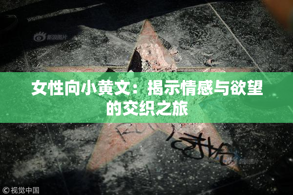 女性向小黄文：揭示情感与欲望的交织之旅