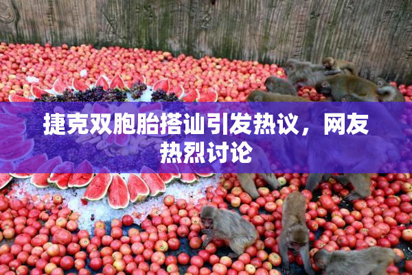 捷克双胞胎搭讪引发热议，网友热烈讨论