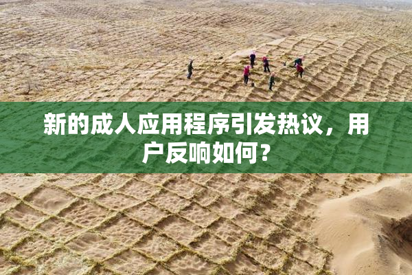 新的成人应用程序引发热议，用户反响如何？