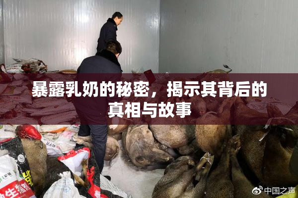 暴露乳奶的秘密，揭示其背后的真相与故事
