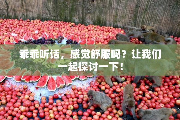 乖乖听话，感觉舒服吗？让我们一起探讨一下！