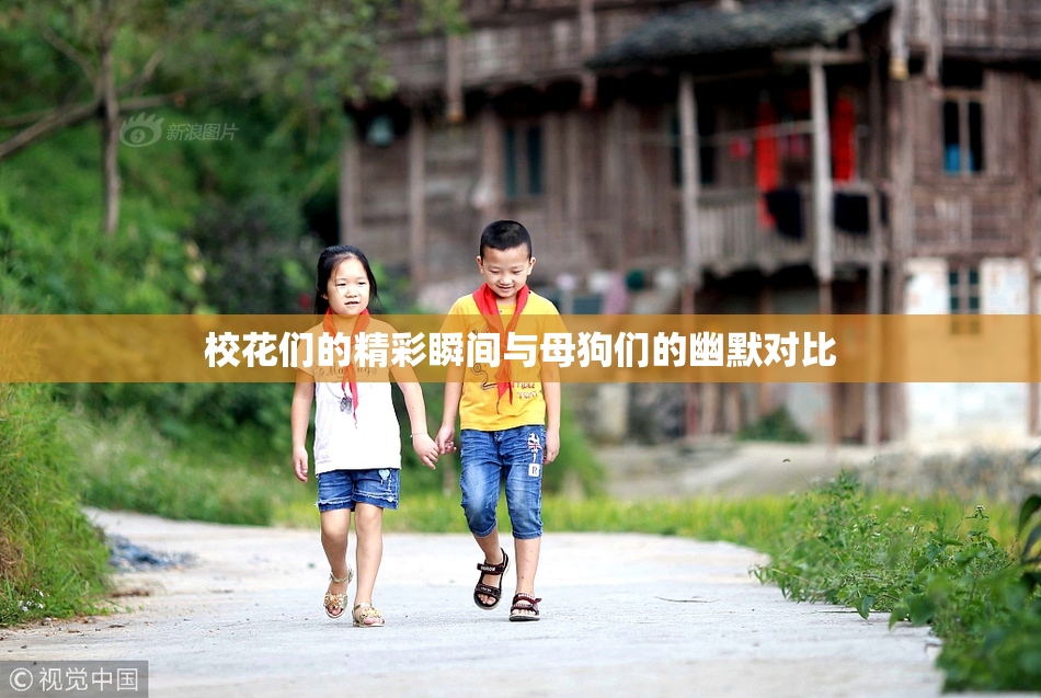 校花们的精彩瞬间与母狗们的幽默对比