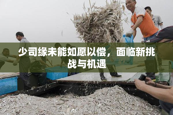 少司缘未能如愿以偿，面临新挑战与机遇