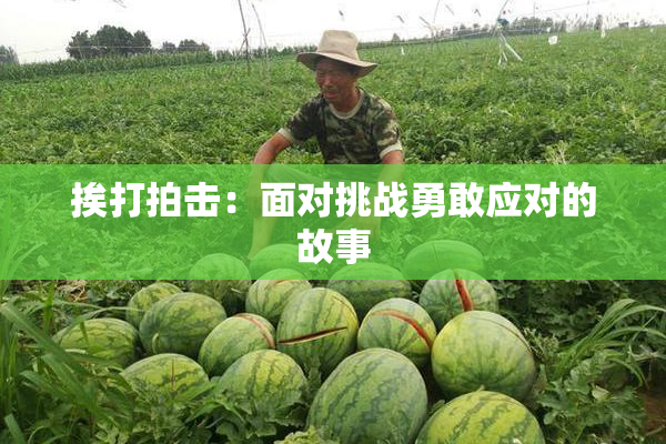 挨打拍击：面对挑战勇敢应对的故事