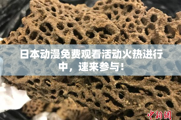 日本动漫免费观看活动火热进行中，速来参与！