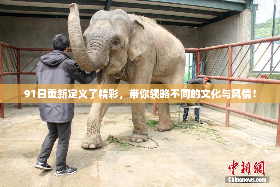 91日重新定义了精彩，带你领略不同的文化与风情！