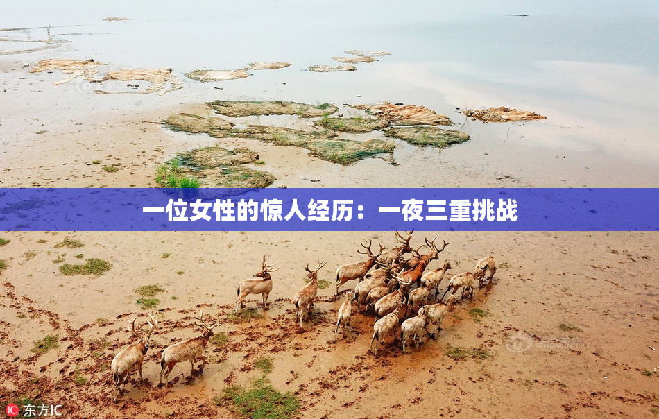 一位女性的惊人经历：一夜三重挑战