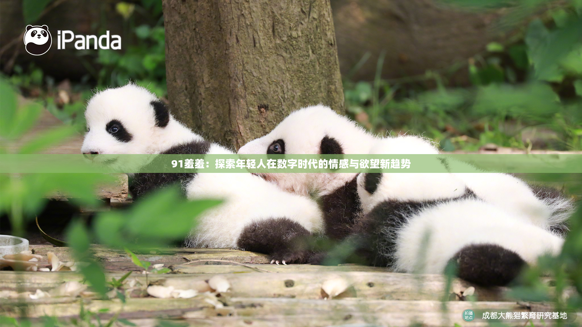 91羞羞：探索年轻人在数字时代的情感与欲望新趋势