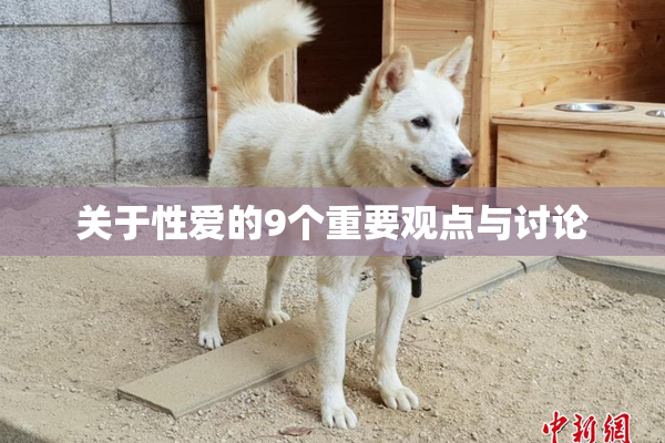 关于性爱的9个重要观点与讨论