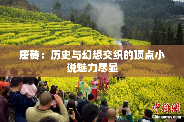 唐砖：历史与幻想交织的顶点小说魅力尽显