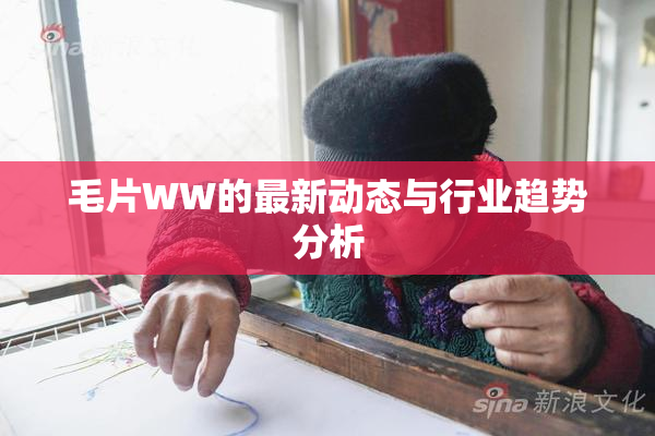 毛片WW的最新动态与行业趋势分析