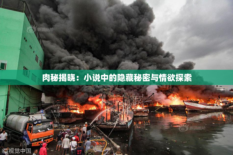 肉秘揭晓：小说中的隐藏秘密与情欲探索