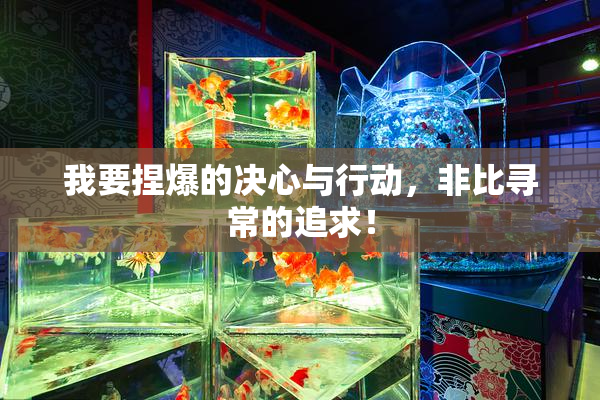 我要捏爆的决心与行动，非比寻常的追求！