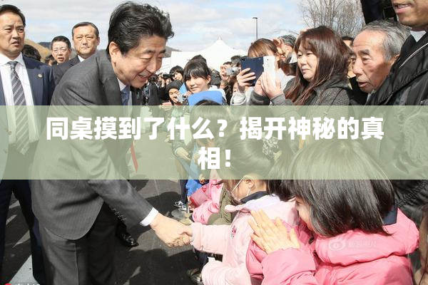同桌摸到了什么？揭开神秘的真相！