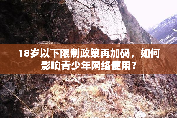 18岁以下限制政策再加码，如何影响青少年网络使用？