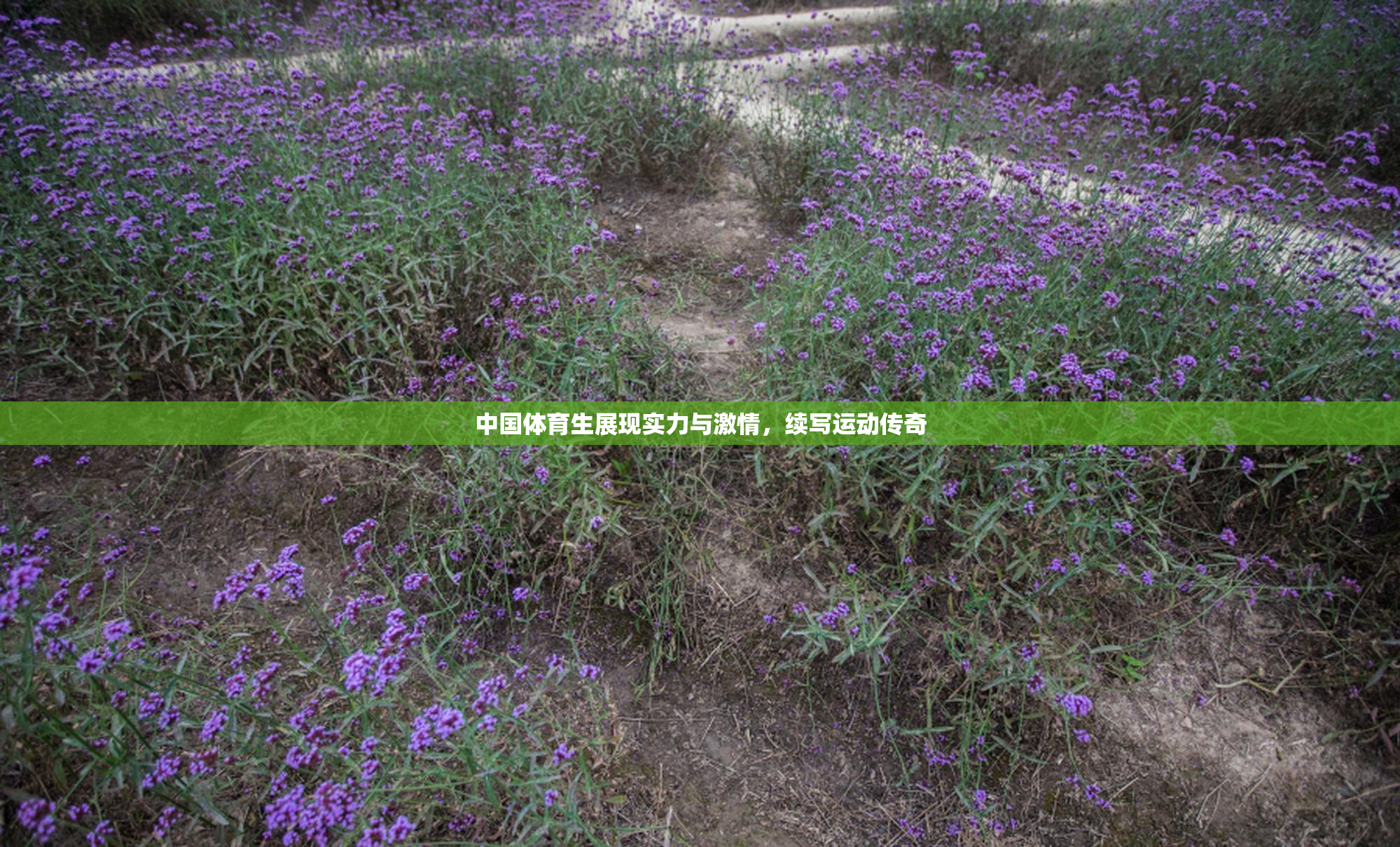 中国体育生展现实力与激情，续写运动传奇
