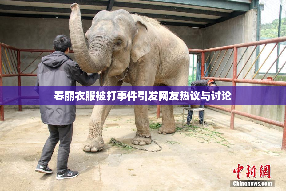 春丽衣服被打事件引发网友热议与讨论
