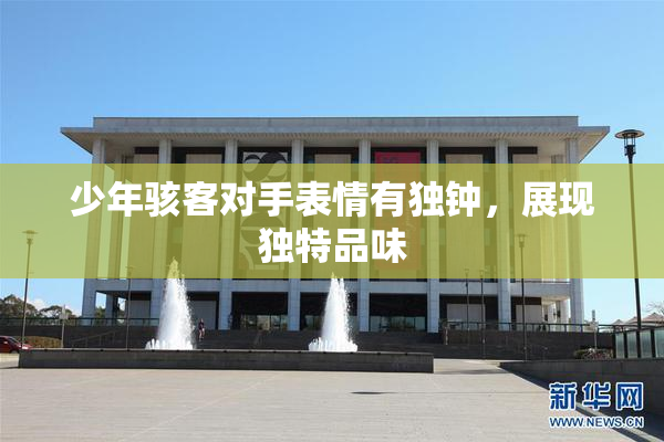 少年骇客对手表情有独钟，展现独特品味