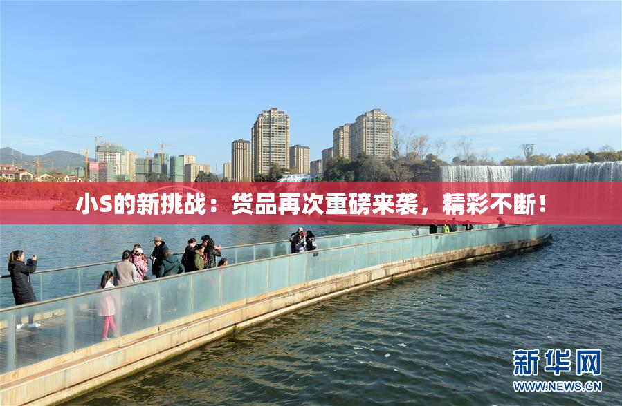 小S的新挑战：货品再次重磅来袭，精彩不断！