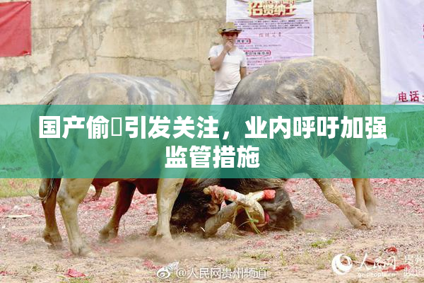 国产偷抇引发关注，业内呼吁加强监管措施