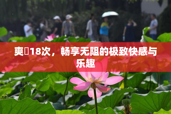 爽擼18次，畅享无阻的极致快感与乐趣
