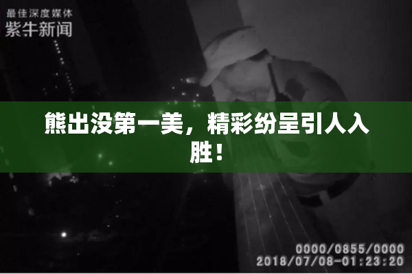 熊出没第一美，精彩纷呈引人入胜！