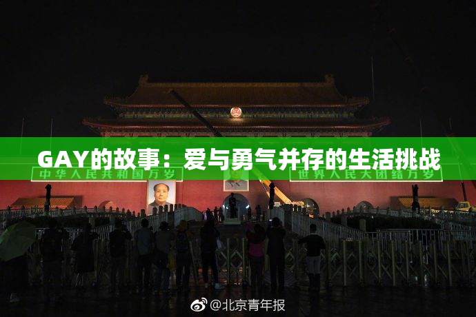 GAY的故事：爱与勇气并存的生活挑战