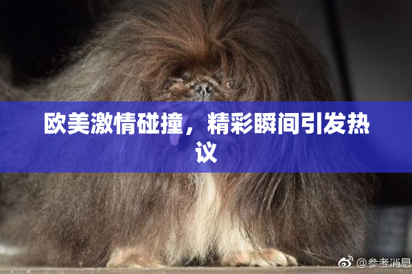 欧美激情碰撞，精彩瞬间引发热议