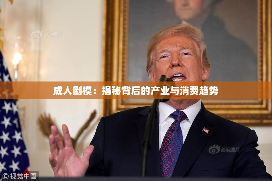 成人倒模：揭秘背后的产业与消费趋势