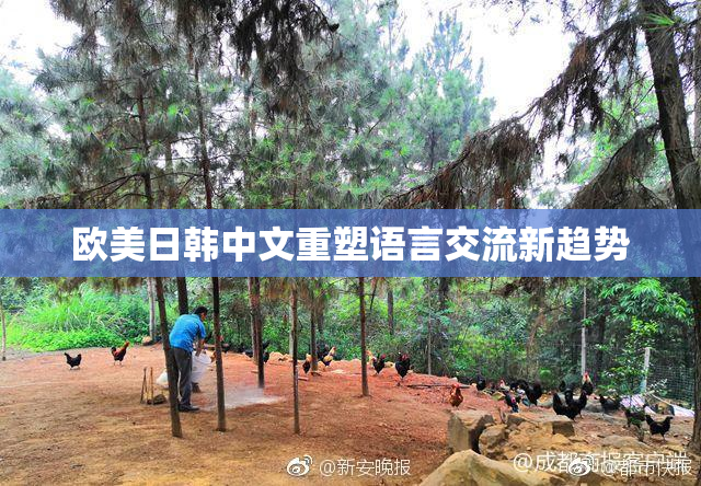 欧美日韩中文重塑语言交流新趋势