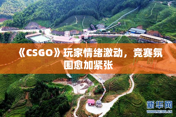 《CSGO》玩家情绪激动，竞赛氛围愈加紧张