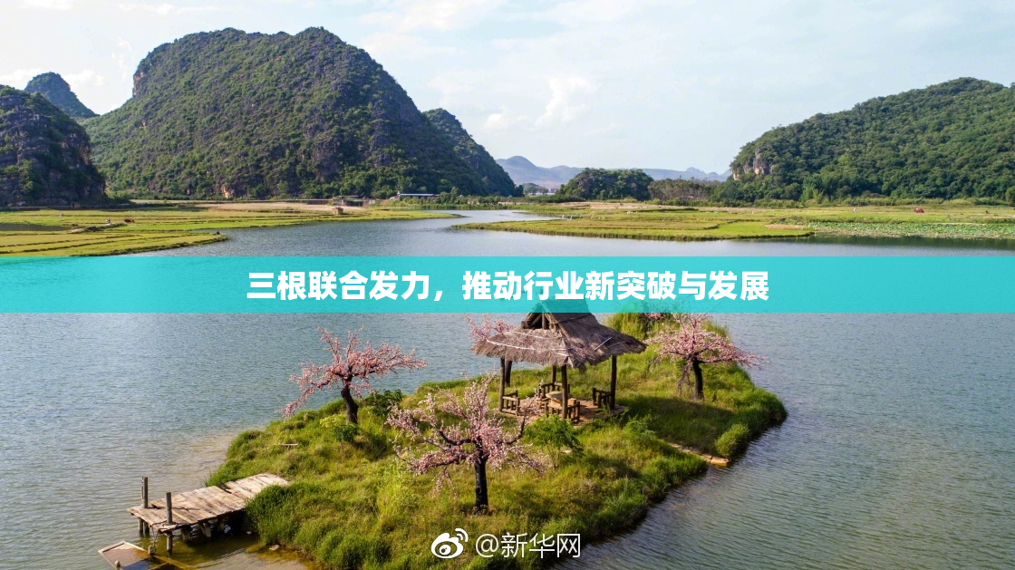 三根联合发力，推动行业新突破与发展
