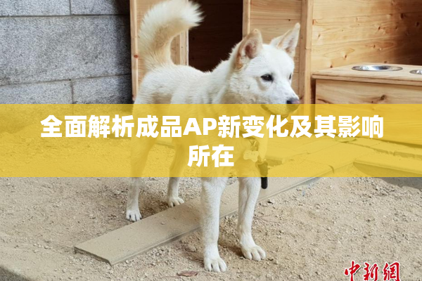 全面解析成品AP新变化及其影响所在