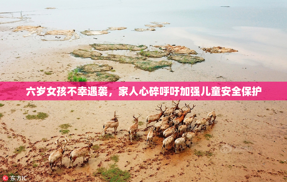 六岁女孩不幸遇袭，家人心碎呼吁加强儿童安全保护