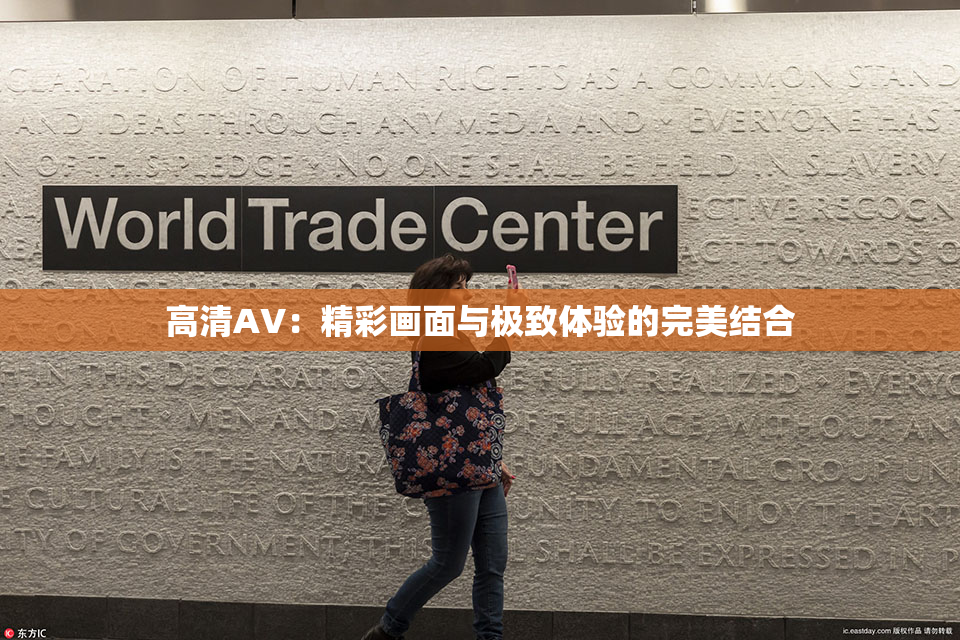 高清AV：精彩画面与极致体验的完美结合