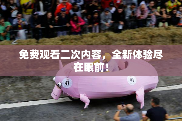 免费观看二次内容，全新体验尽在眼前！